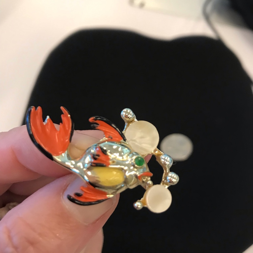 Fish brooch